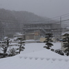 本日神奈川県内　大雪警報！！