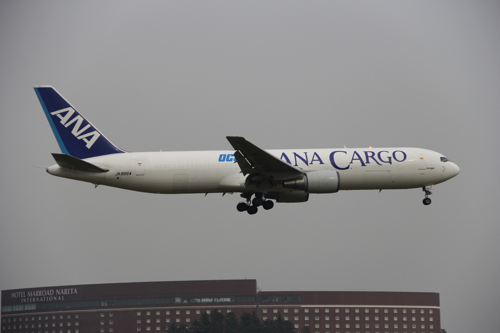 ANA　CARGO
