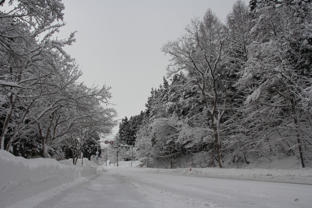福島＠雪道！！