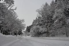 福島＠雪道！！