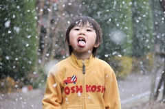 雪ってどんな味？