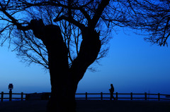 Deep Deep Blue