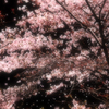 桜嵐
