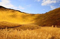 Fields Of Gold