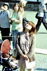 見上げて候