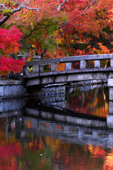 永観堂橋観