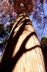 Marble Tree