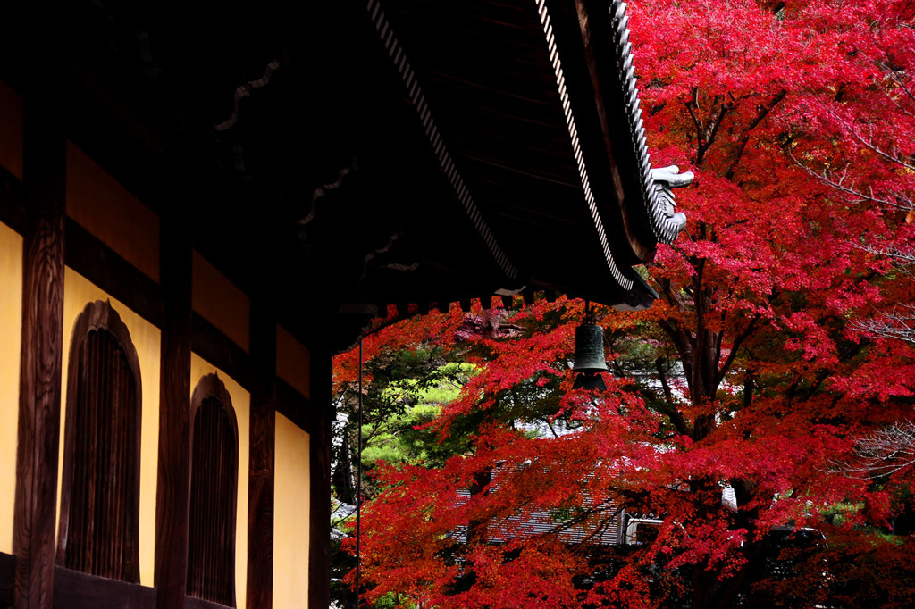 南禅寺の赤い季節