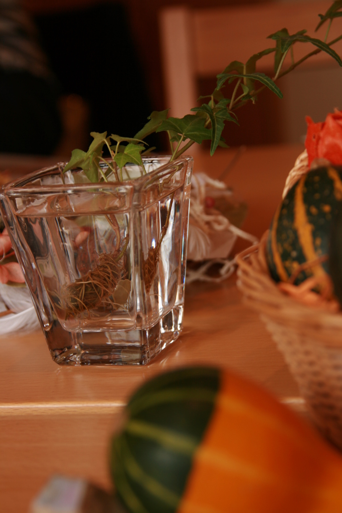 in haru cafe