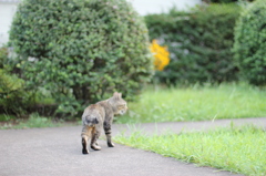 お尻