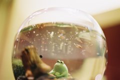 ほほえみ