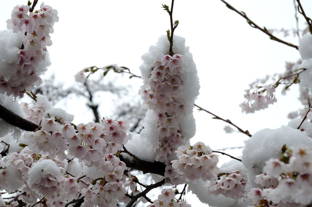 冬の重み