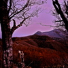 purple sky