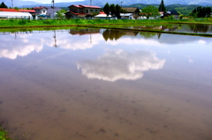mirror scenery