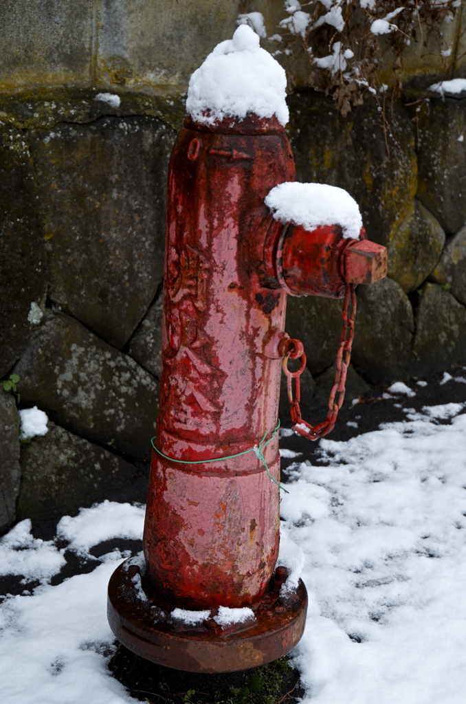 雪帽子