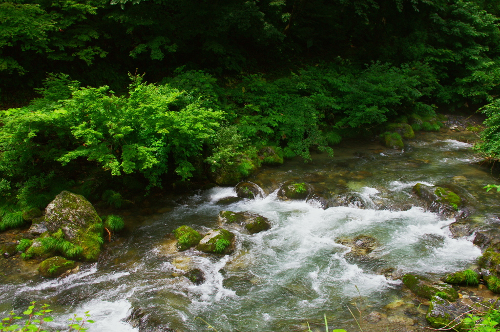 川の流れ