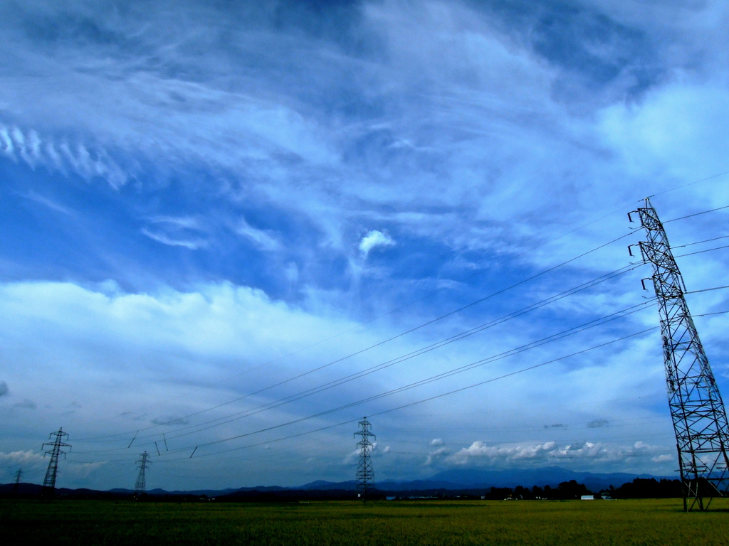 鱗空