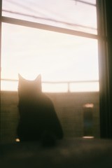 夕暮れ
