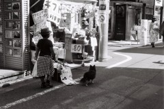 お散歩