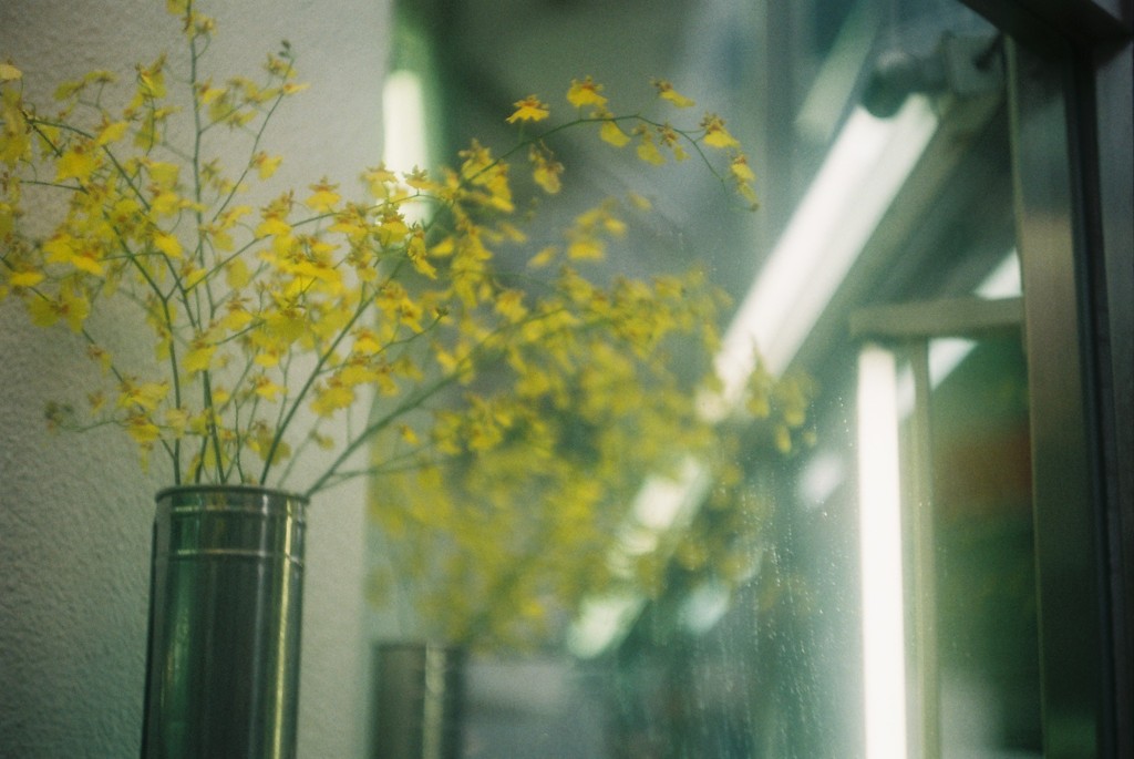 お花屋さん