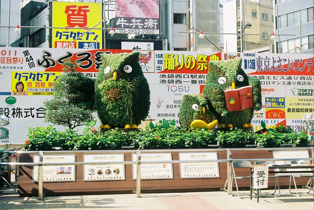 池フクロウ