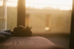 まったり
