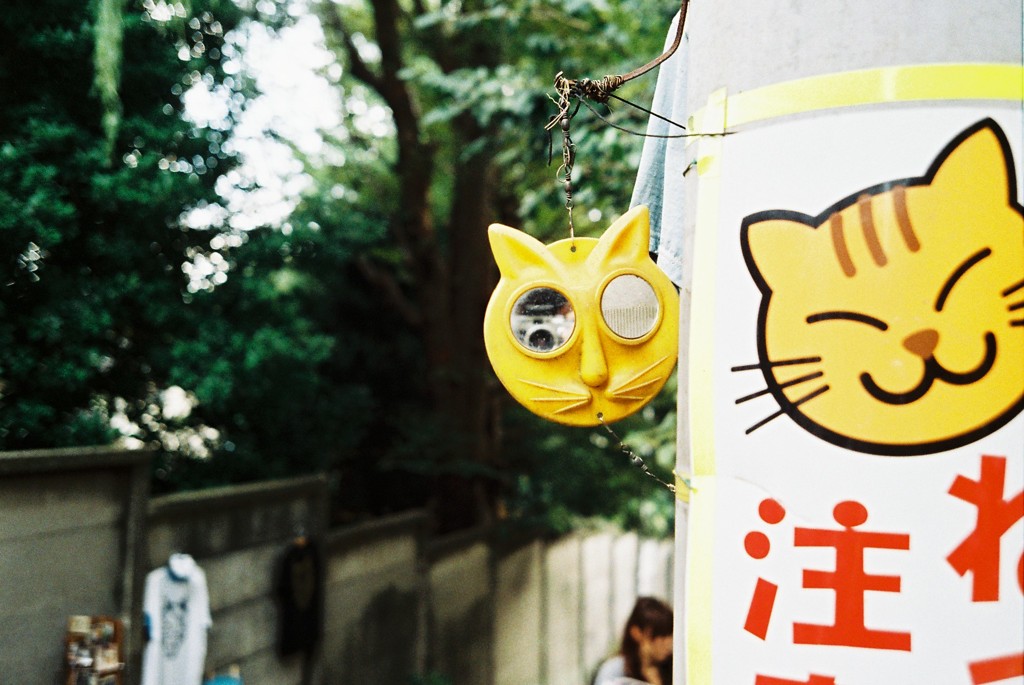 猫の町日暮里