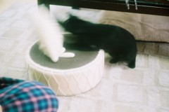 突撃