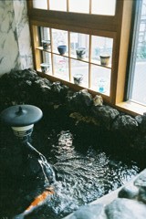 風情ある眺め
