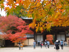 神護寺～楼門