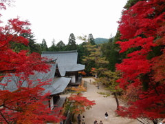 神護寺～毘沙門堂・五大堂