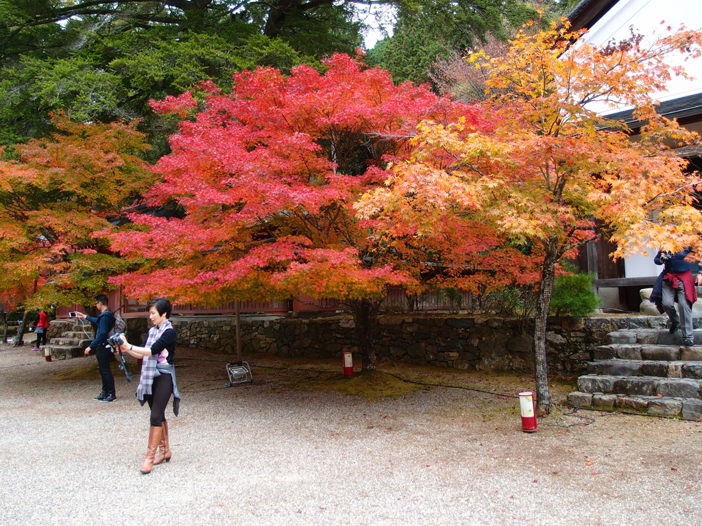 神護寺