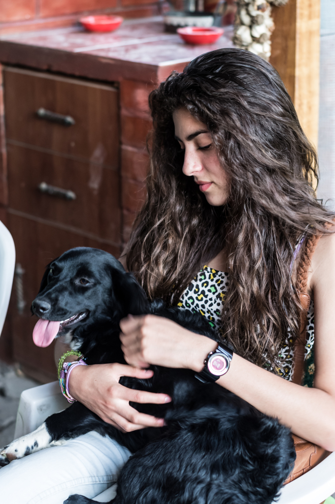 美女と犬