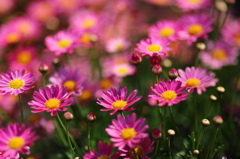 Spring has come!
