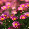 Spring has come!