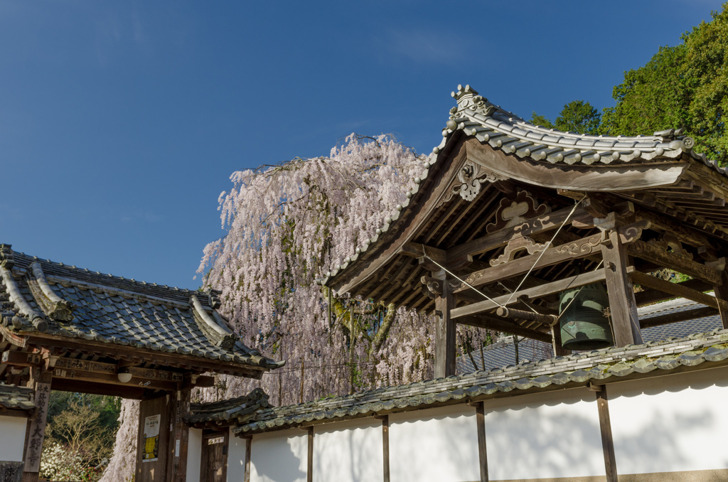 大野寺