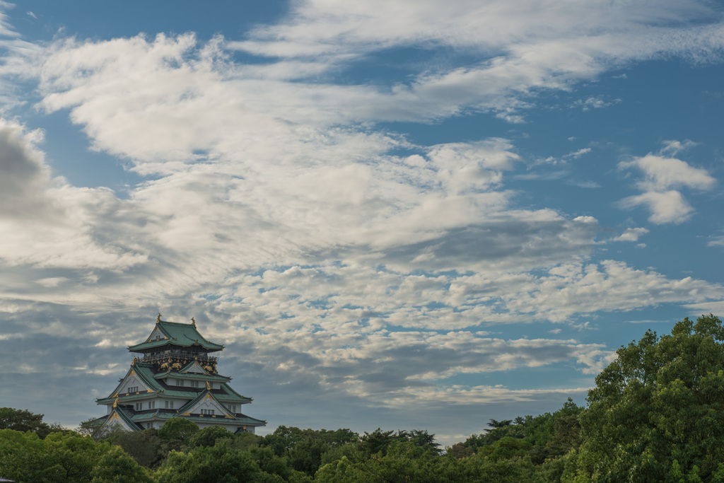 夏の陣