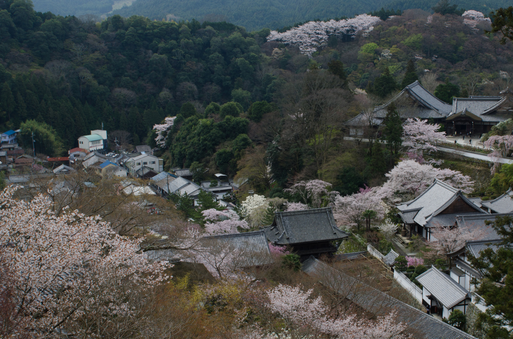 長谷寺本堂からの風景