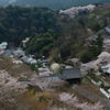 長谷寺本堂からの風景
