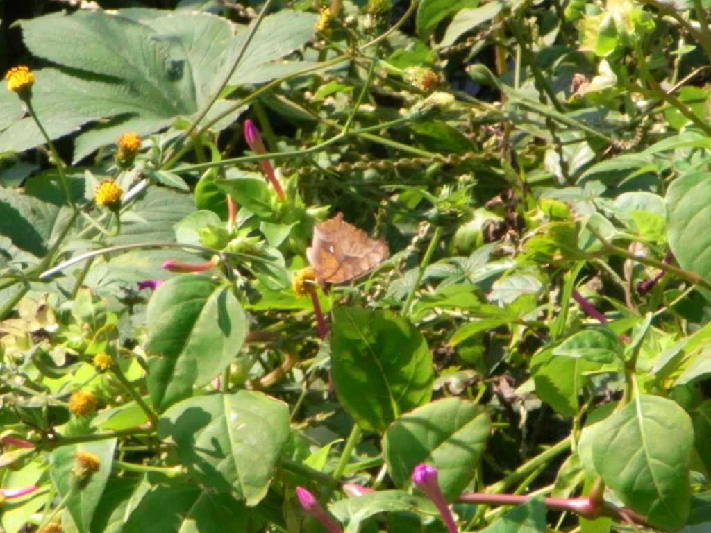 2012 10 27 157