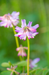 P1080043
