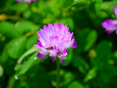 P1020245