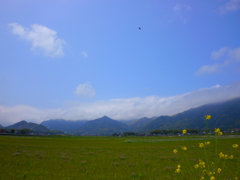 P1020227