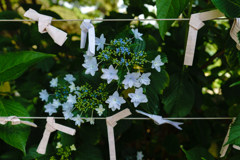紙の花と自然の花