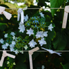 紙の花と自然の花
