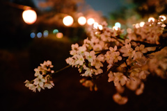 花灯り