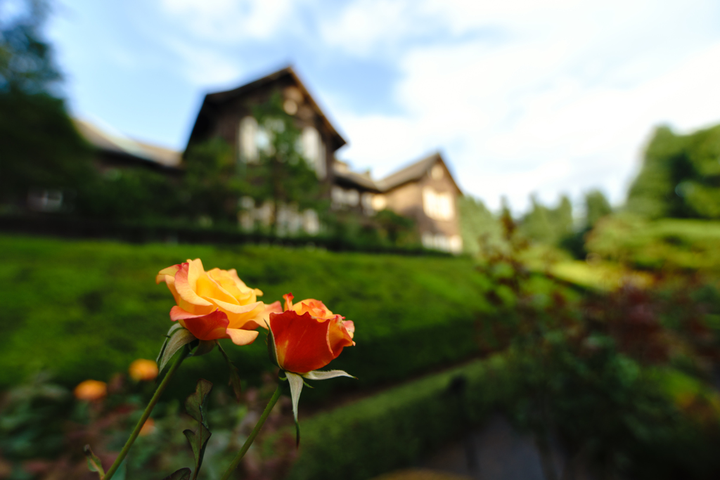 洋館と秋薔薇　橙色