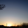 夕景