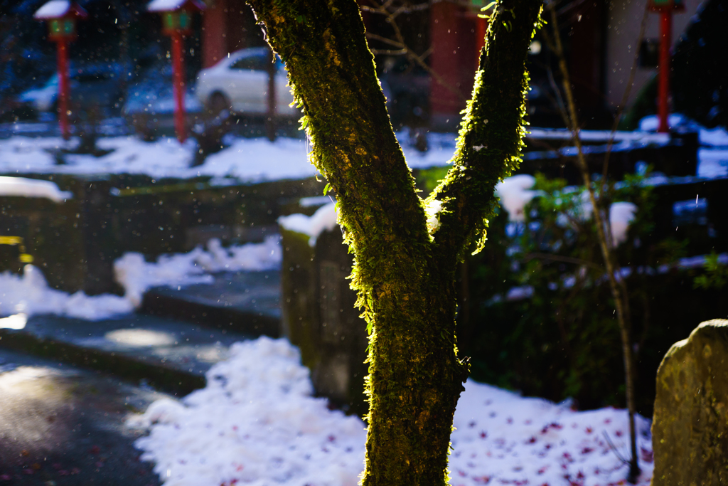 雪解け飛沫