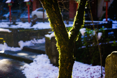 雪解け飛沫